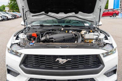 2025 Ford Mustang EcoBoost Premium 2.3L