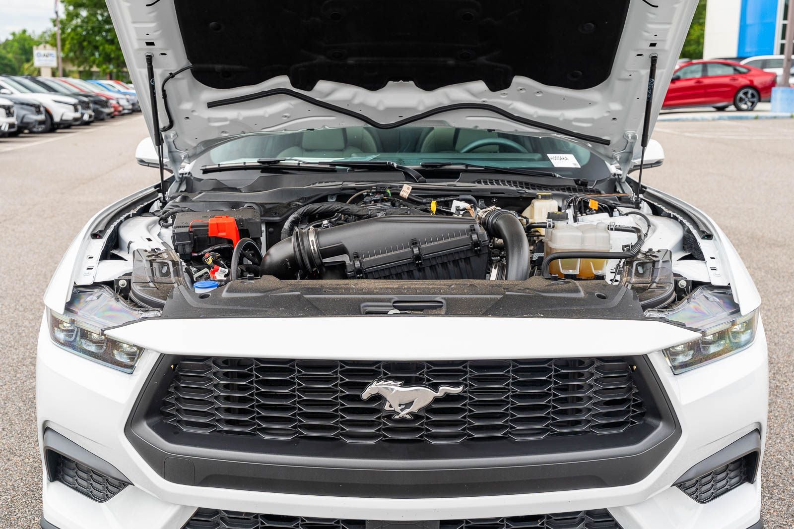 2025 Ford Mustang EcoBoost Premium 2.3L
