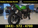2024 Kawasaki Z500 ABS