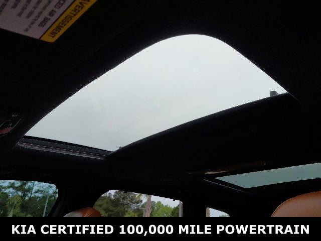 2024 Kia Telluride SX-Prestige X-Pro