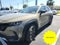 2024 Mazda Mazda CX-50 2.5 Turbo Premium Plus Package