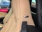 2019 Mazda Mazda Miata RF Grand Touring