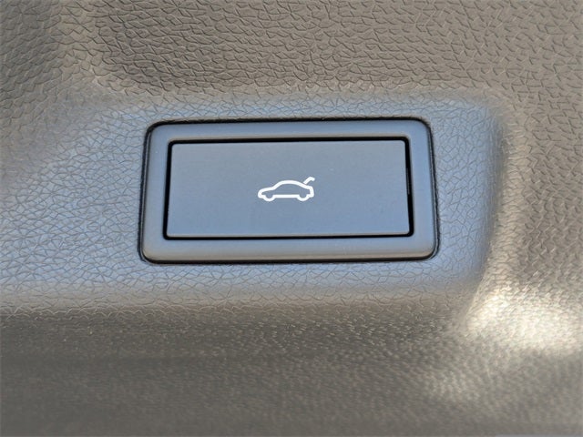 2025 Volkswagen ID. Buzz 1st Edition