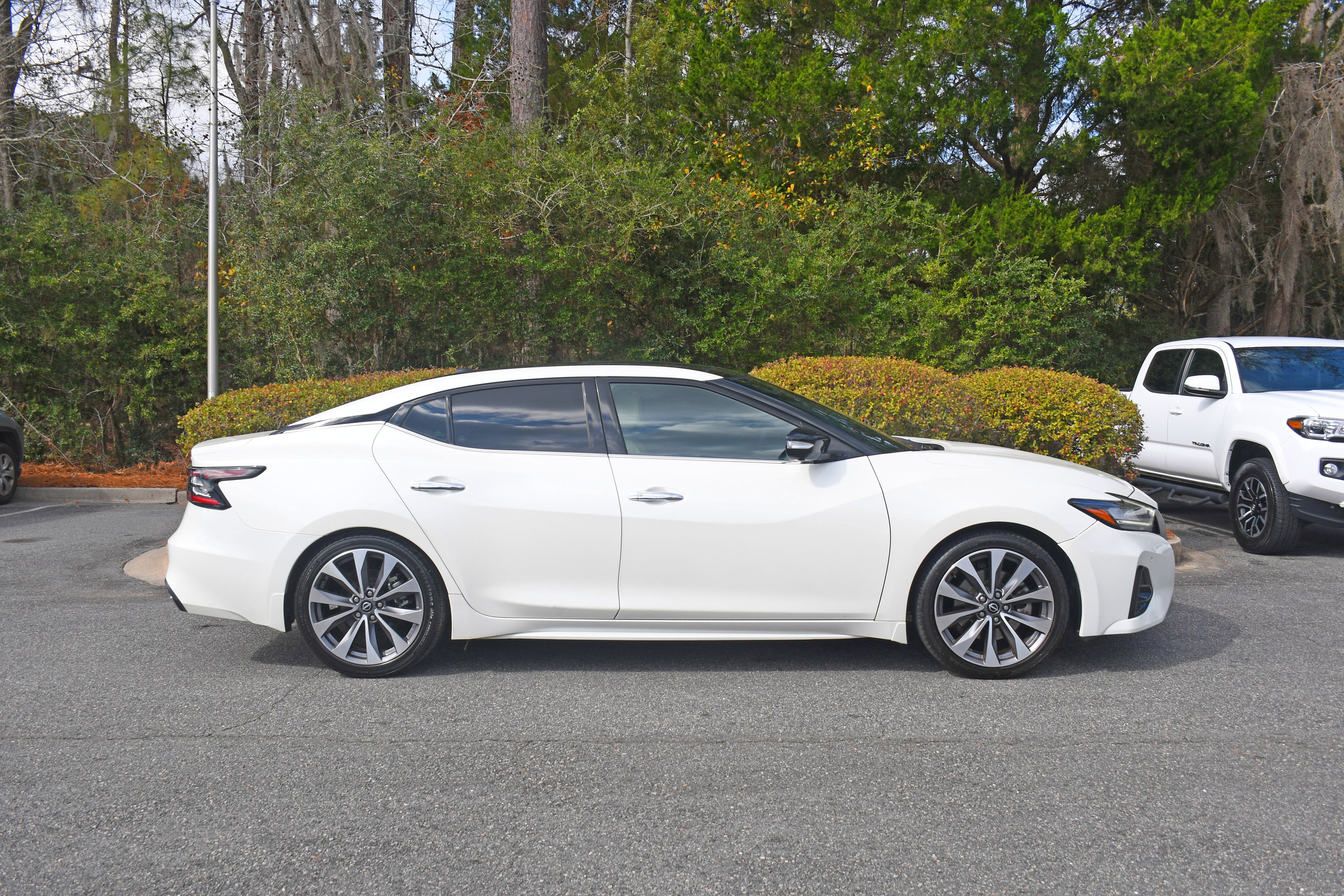 2023 Nissan Maxima Platinum