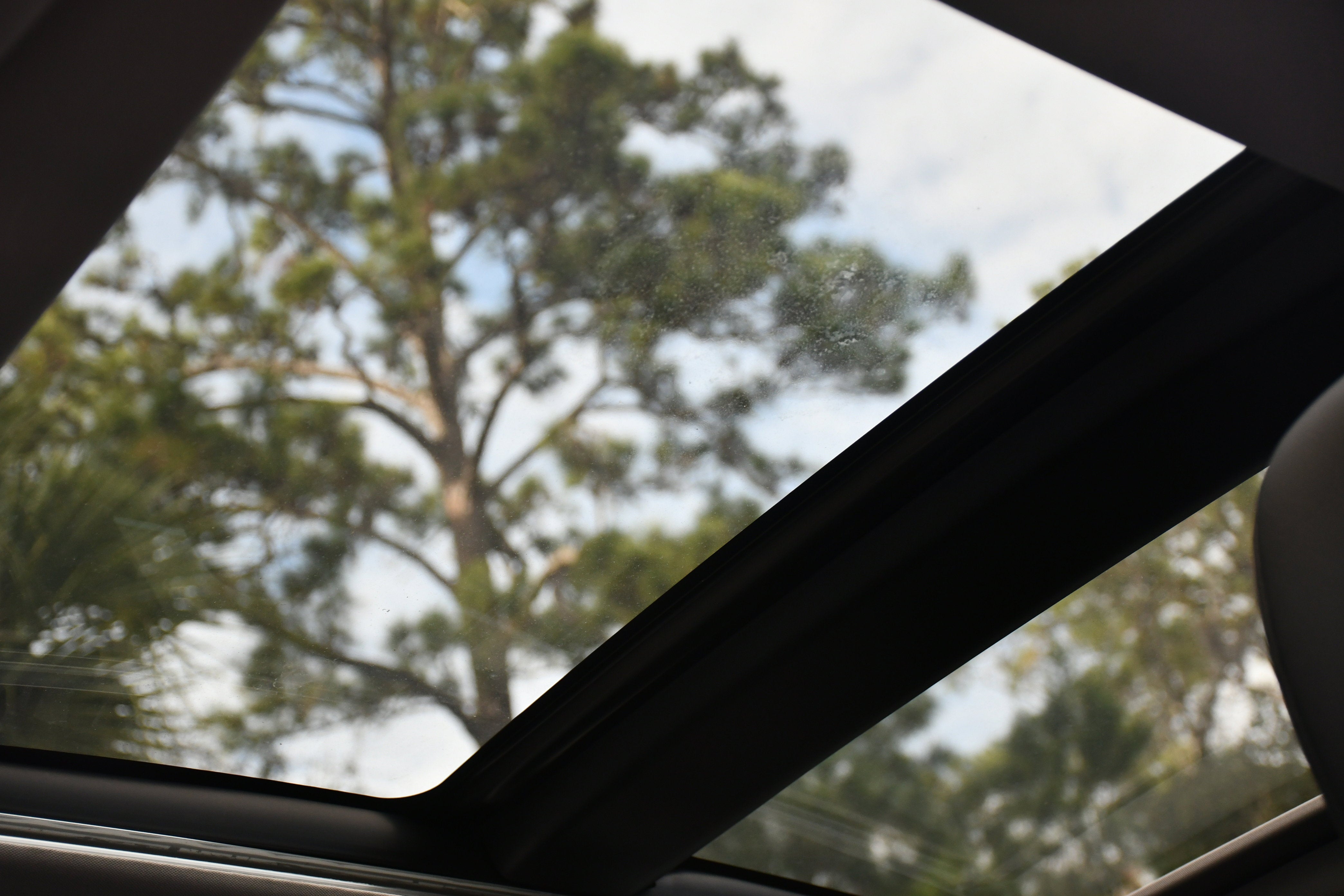 2019 Toyota Camry XLE