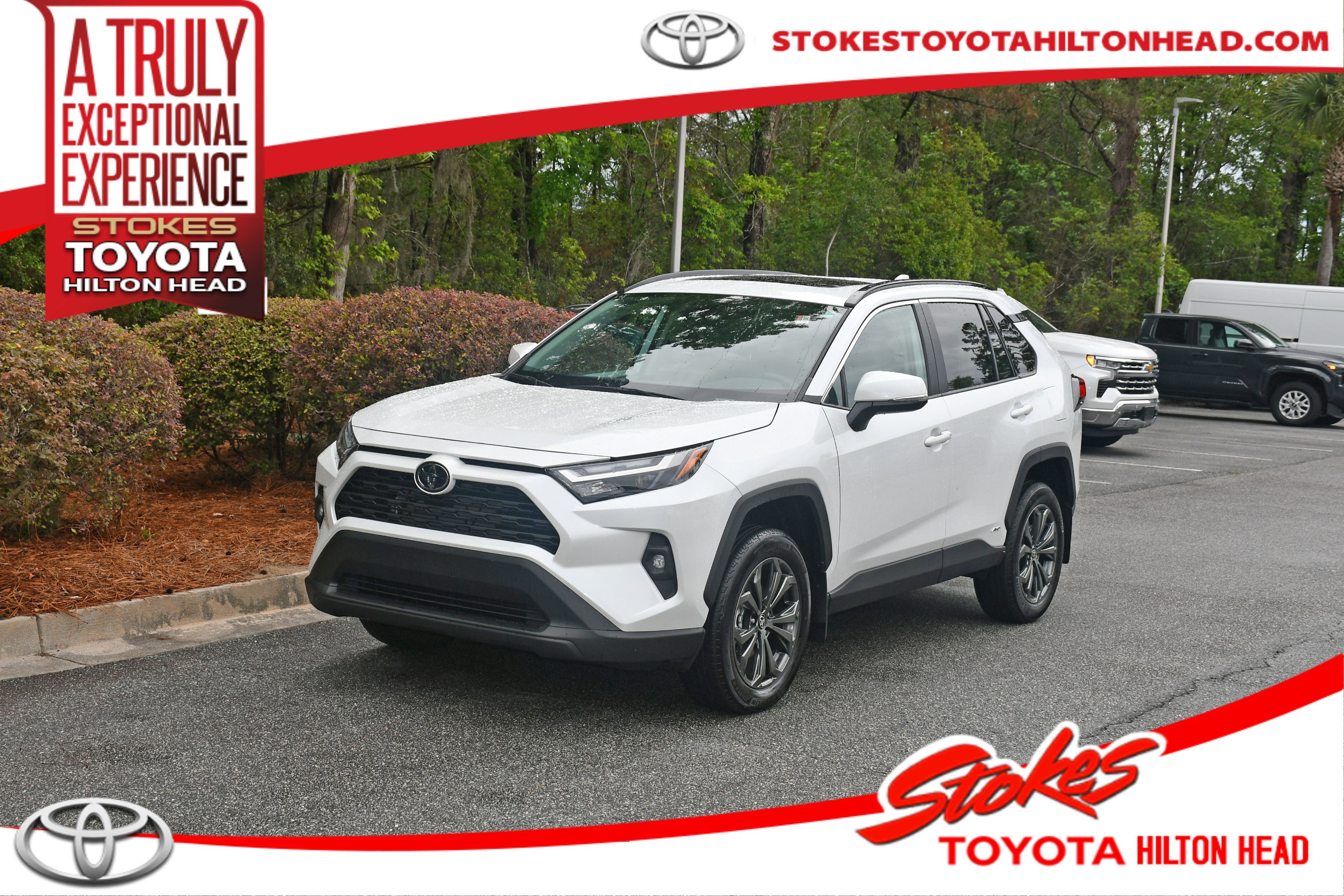 2025 Toyota RAV4 Hybrid XLE Premium