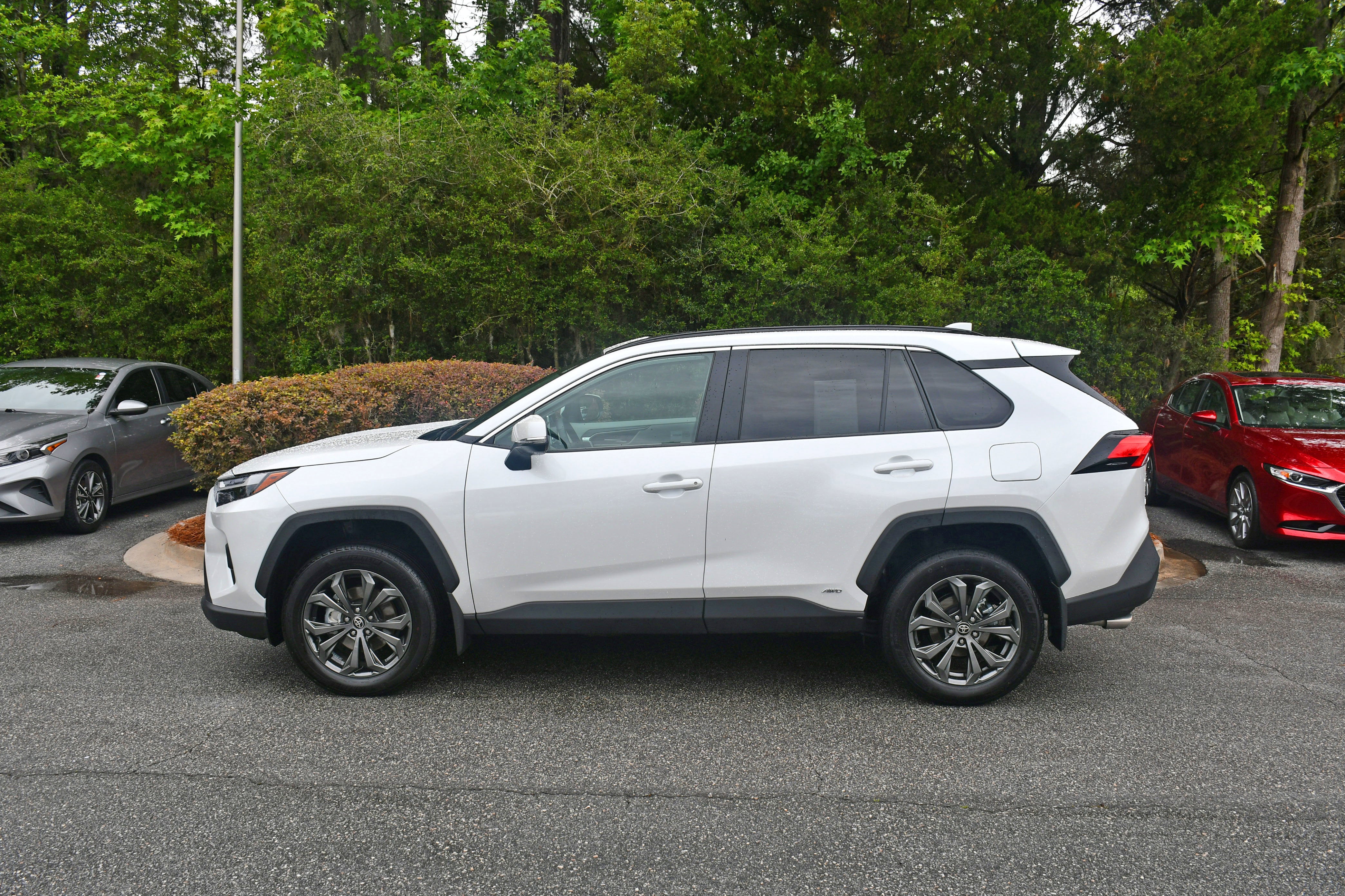2025 Toyota RAV4 Hybrid XLE Premium
