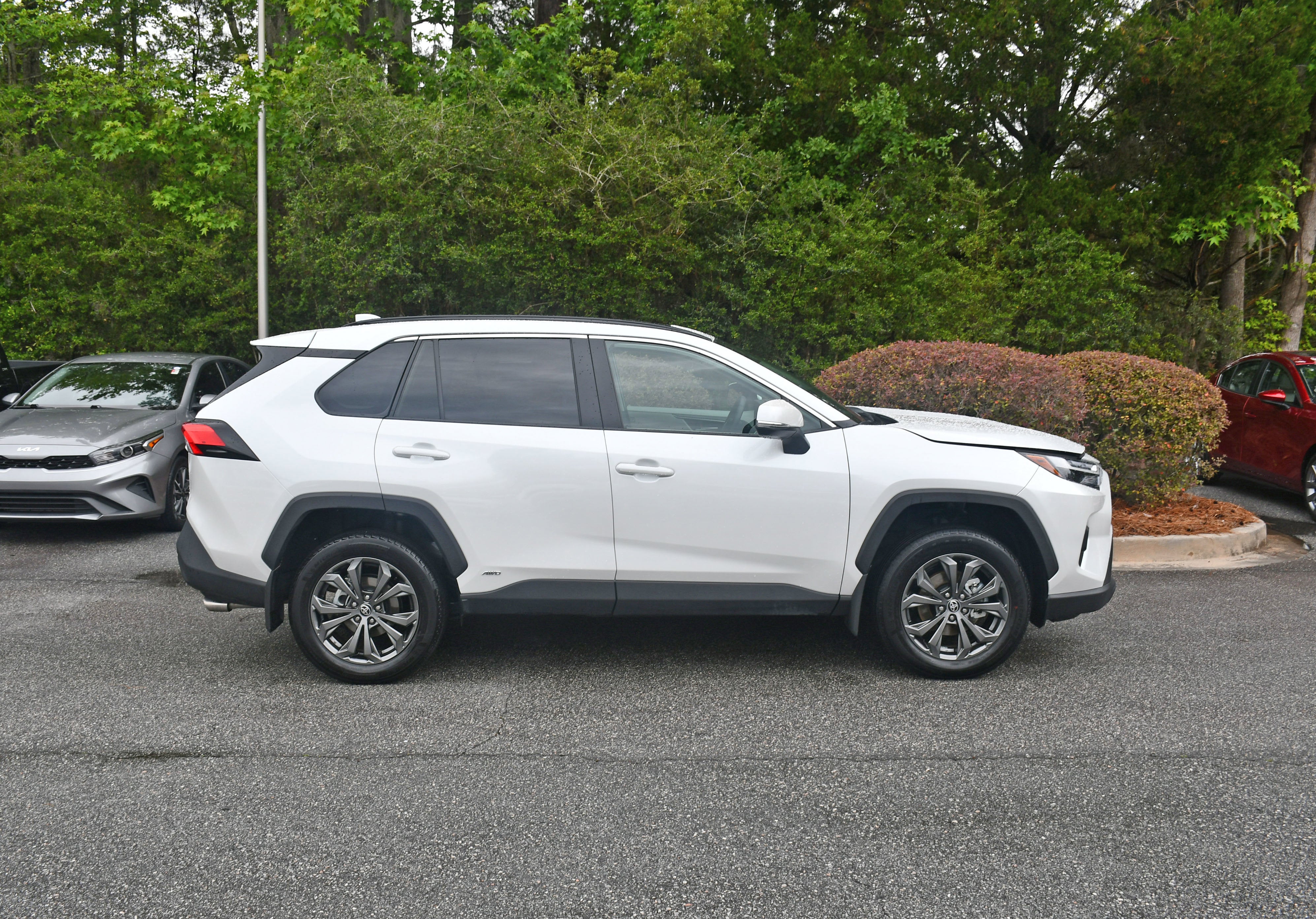 2025 Toyota RAV4 Hybrid XLE Premium