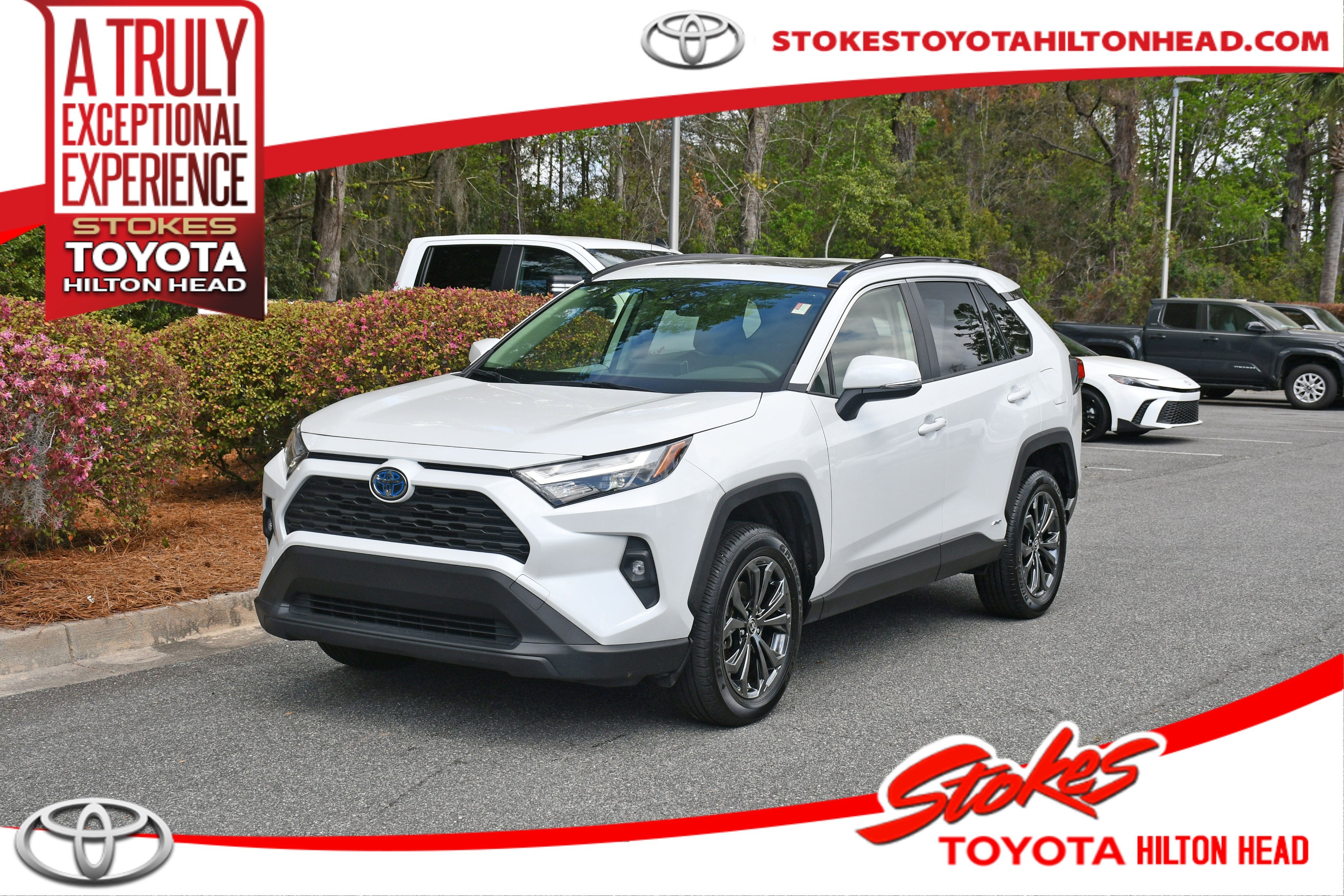 2024 Toyota RAV4 Hybrid XLE Premium