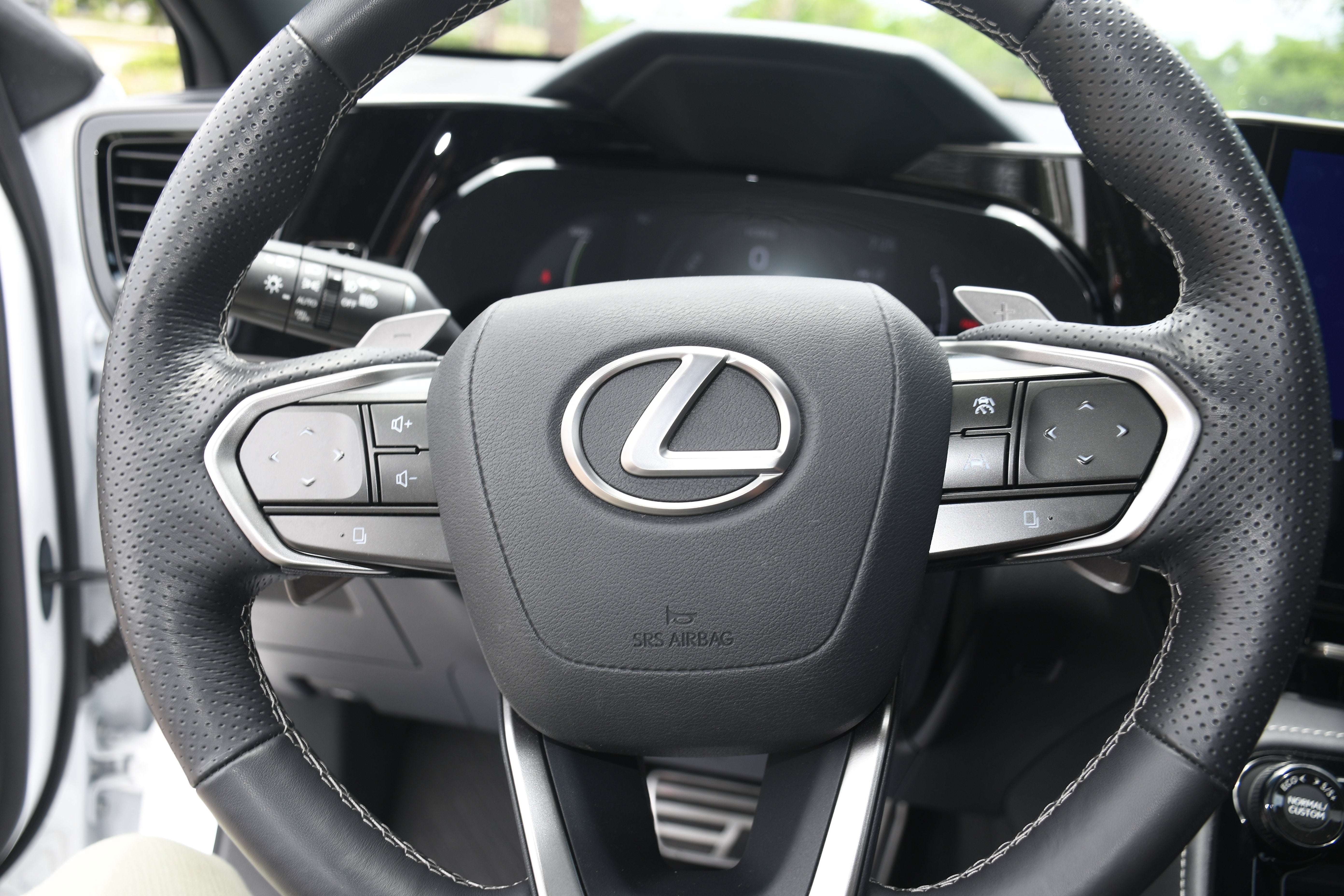 2023 Lexus NX NX 450h+ F SPORT Handling