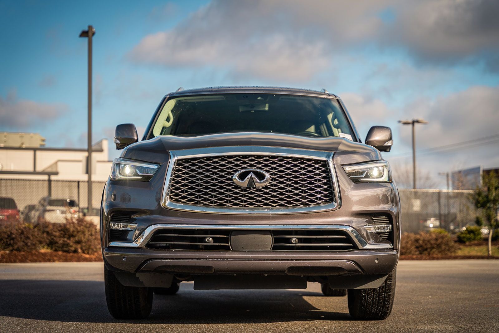 2023 INFINITI QX80 LUXE