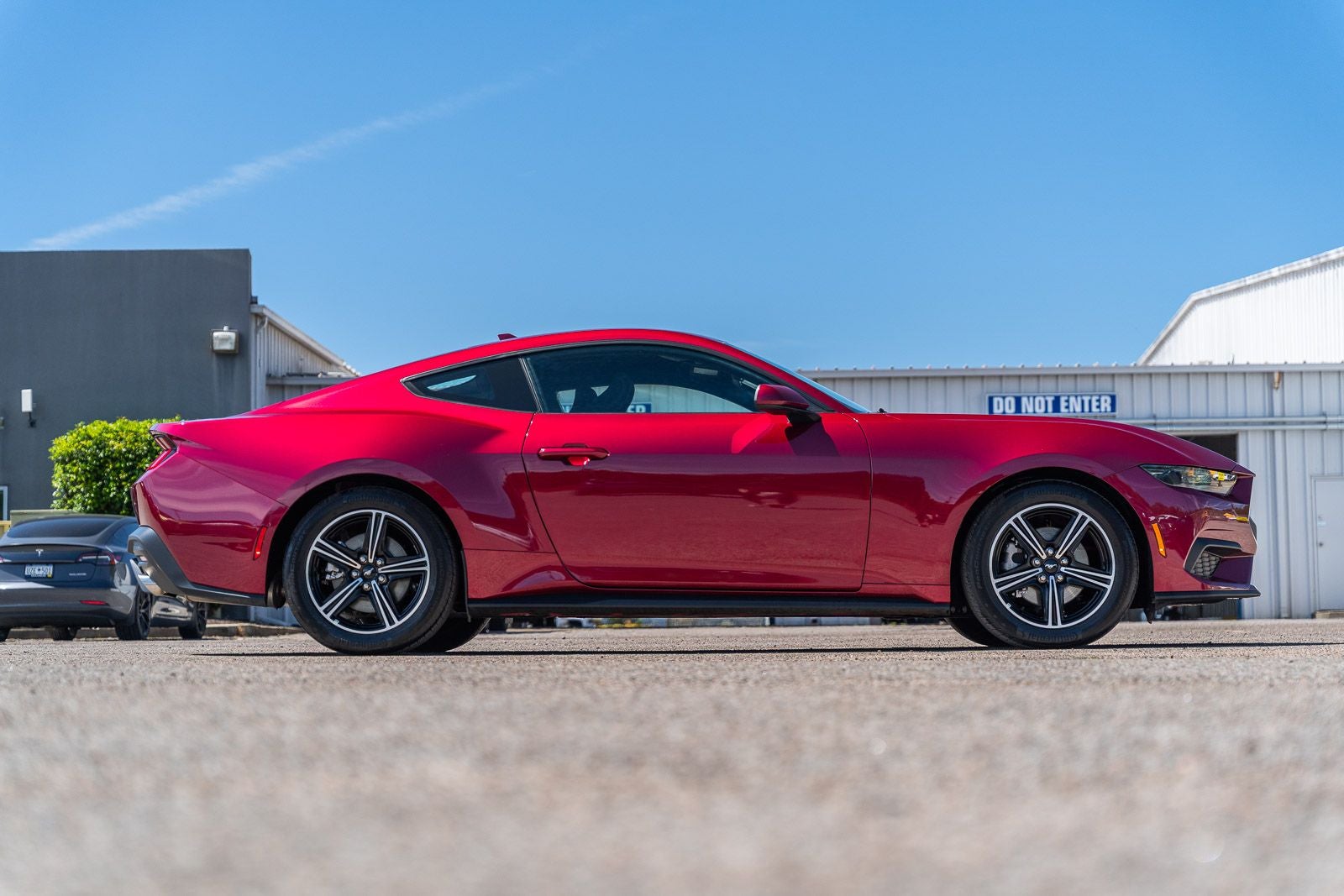 2025 Ford Mustang EcoBoost