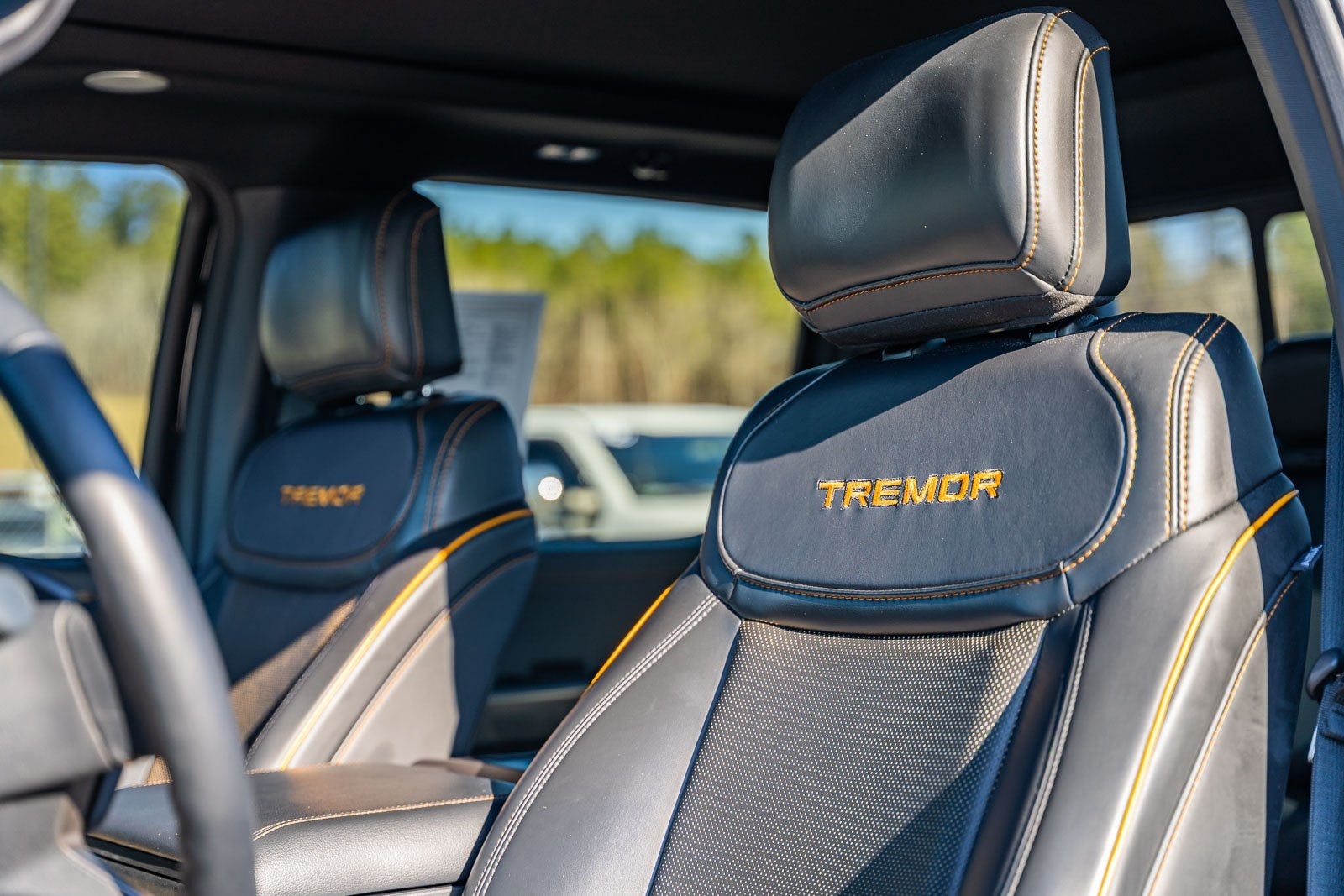 2024 Ford F-150 Tremor