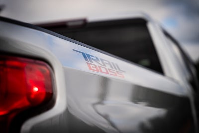 2021 Chevrolet Silverado 1500 LT Trail Boss