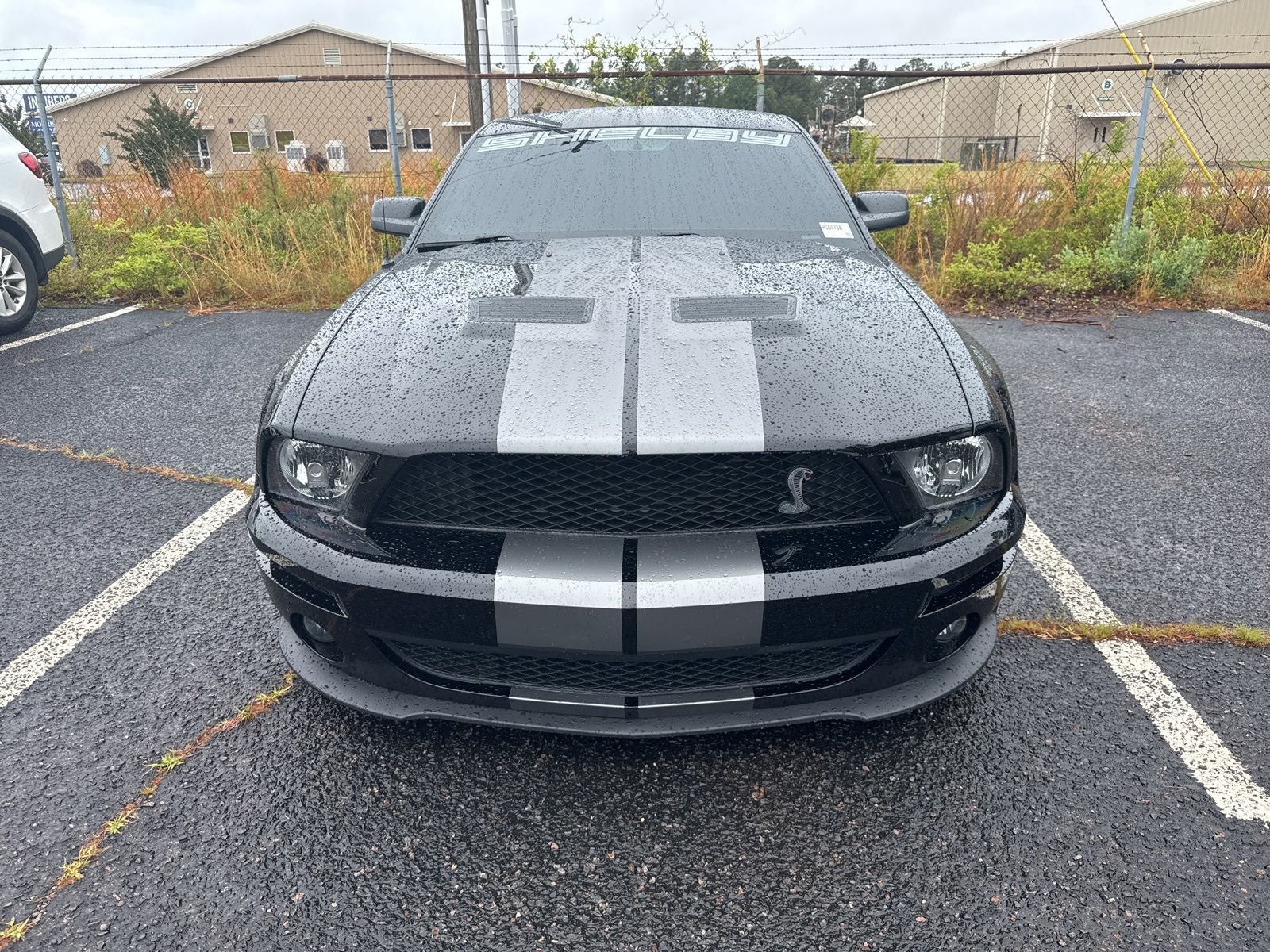 2009 Ford Mustang Shelby GT500
